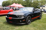 MUSTANG